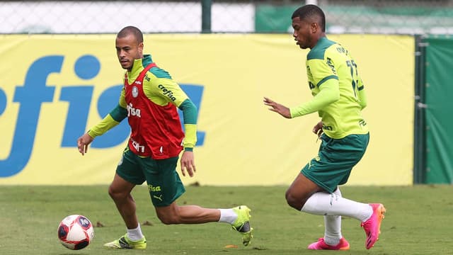 Palmeiras treino