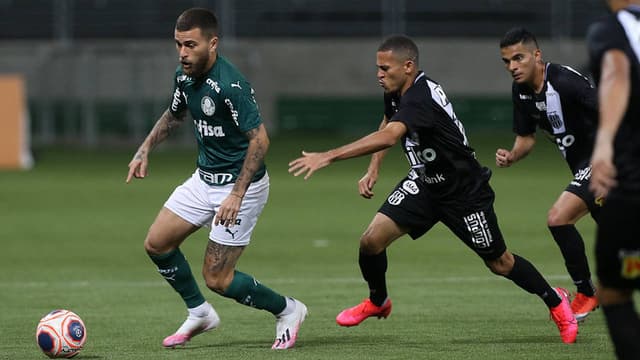 Palmeiras Ponte Preta