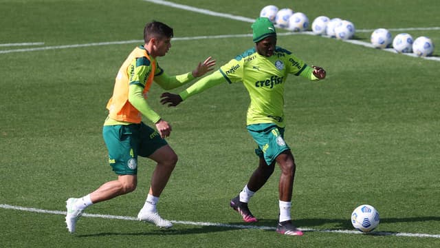 Palmeiras treino