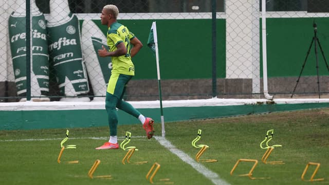 danilo palmeiras