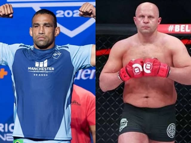 werdum x fedor