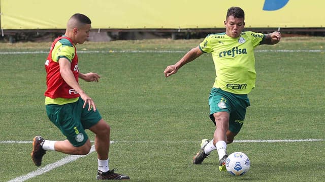 Palmeiras treino