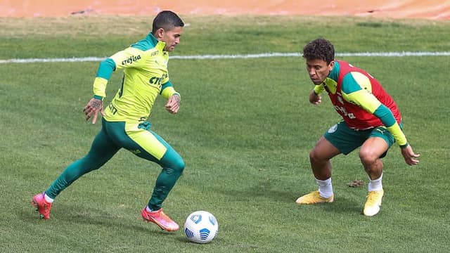 Dudu - treino do Palmeiras