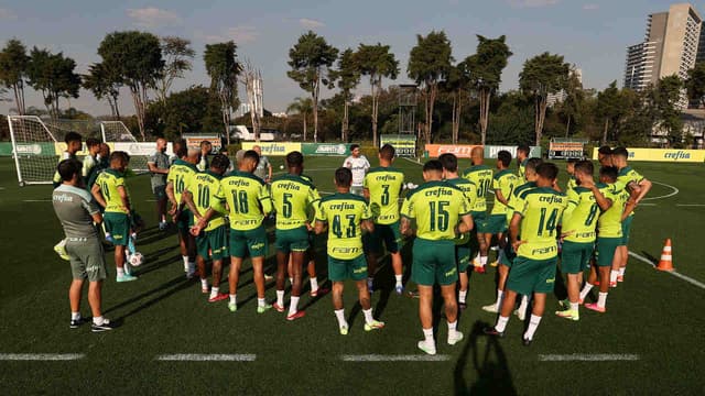 Palmeiras treino