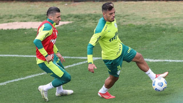 Palmeiras treino