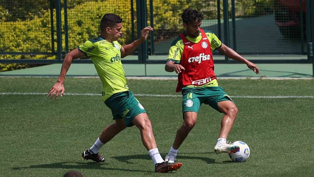 Palmeiras treino