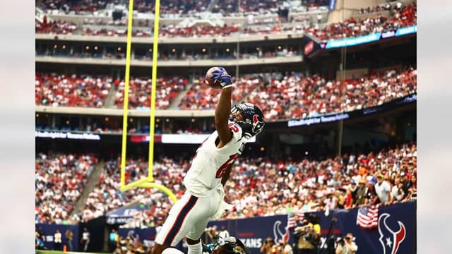 houston texans