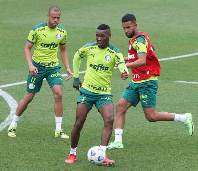 Palmeiras treino