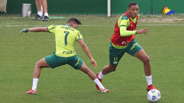 Palmeiras treino