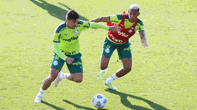 Palmeiras treino