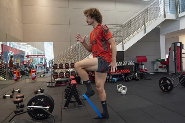 David Luiz - Ninho do Urubu