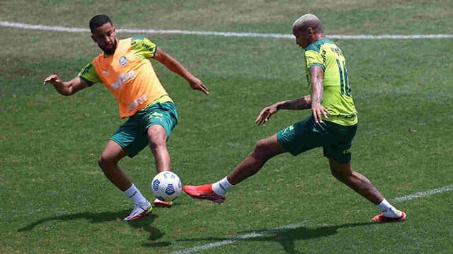 Palmeiras treino