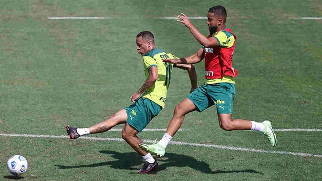 Palmeiras treino