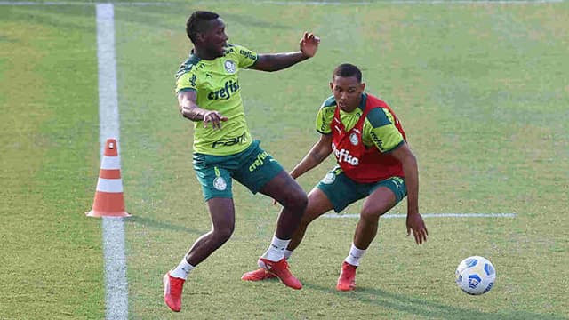 Palmeiras treino