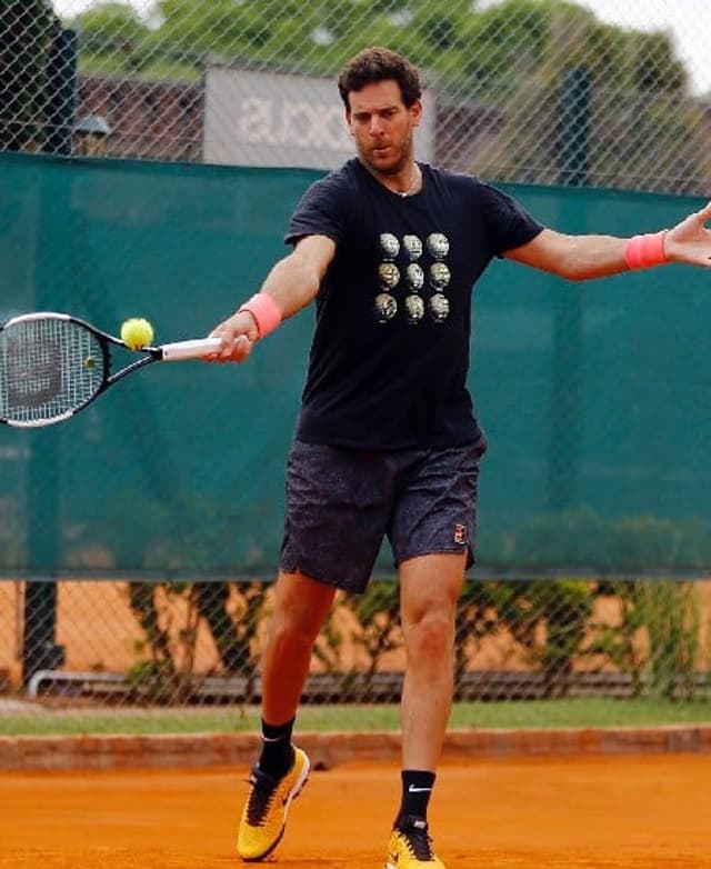 Juan del Potro