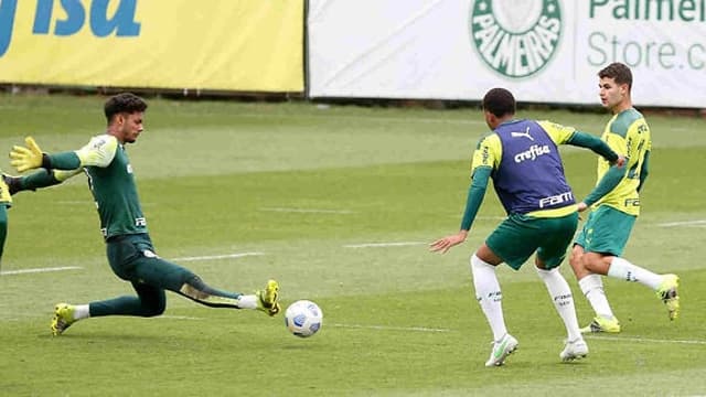 palmeiras treino base