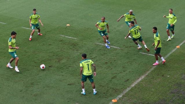 Palmeiras treino