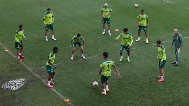 Palmeiras treino