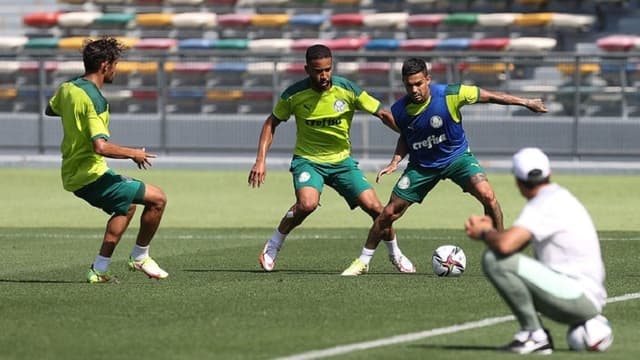 Treino Palmeiras