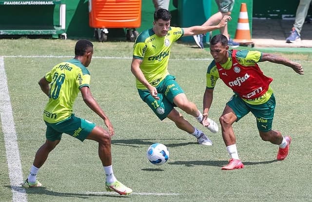 Treino Palmeiras