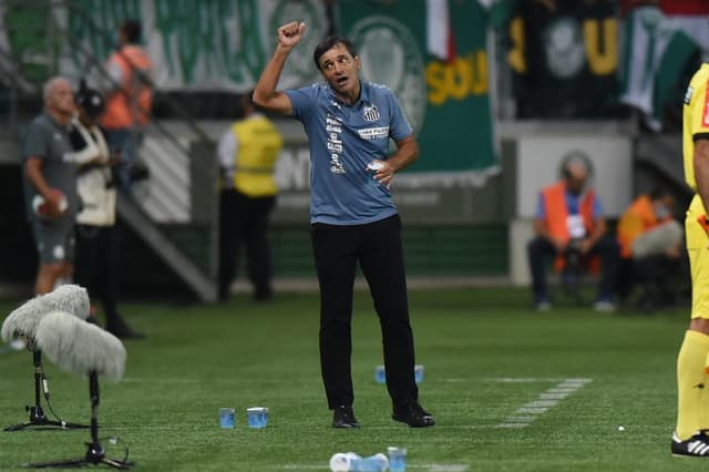 Palmeiras x Santos FC - Bustos