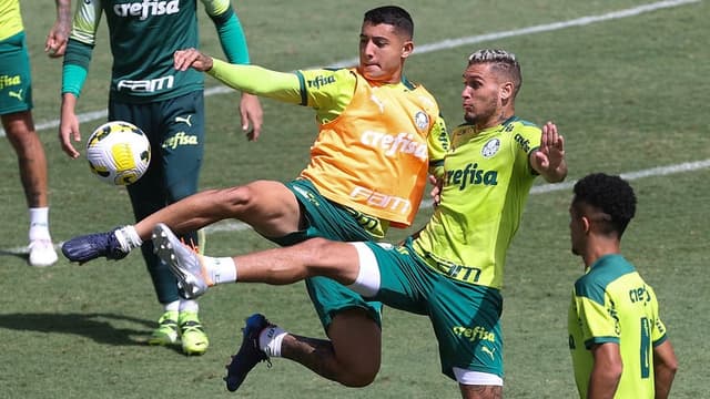 Palmeiras treino