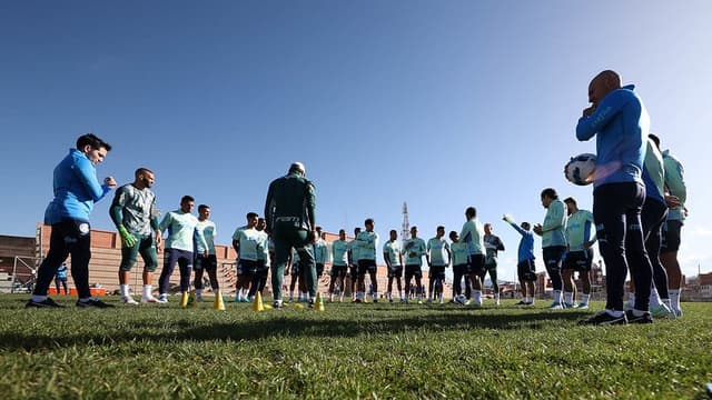 Palmeiras treino