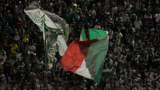 Torcida Palmeiras - Juazeirense x Palmeiras