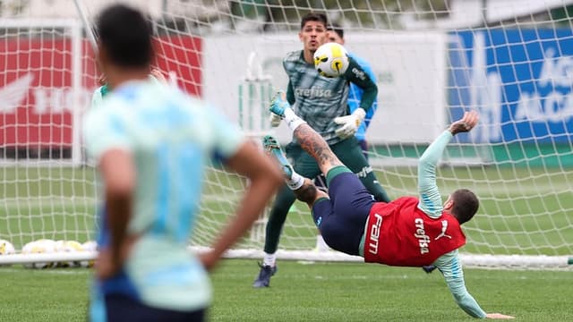 Palmeiras treino