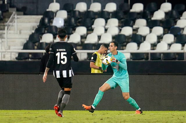 Botafogo x Avaí - Gatito Fernandez