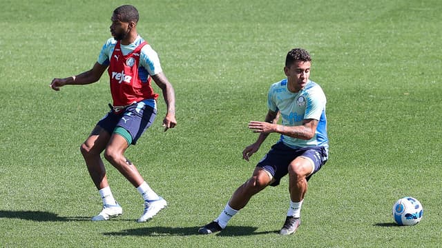 Palmeiras treino