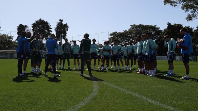 Palmeiras treino