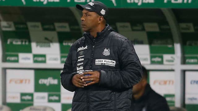 Palmeiras x Santos - Técnico Santos