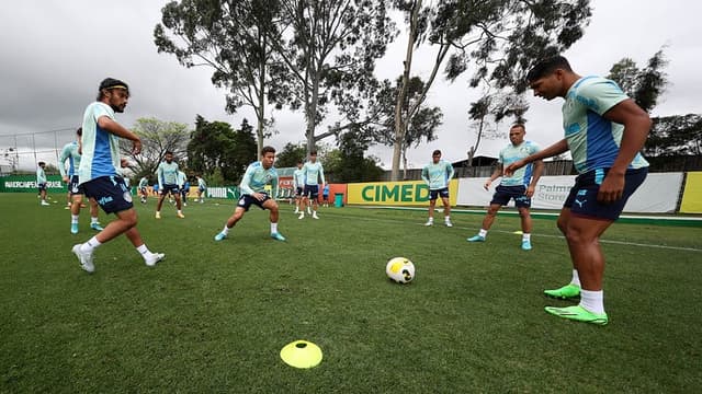 Palmeiras treino