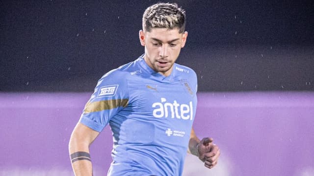 Seleção Uruguaia - Fede Valverde