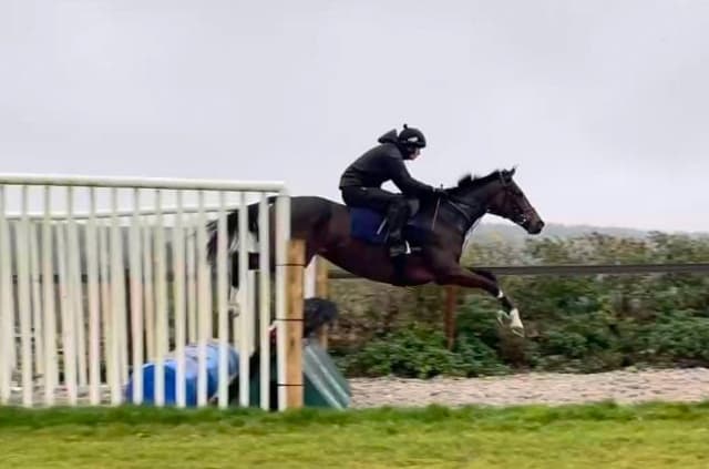 Cavalo morre na Inglaterra