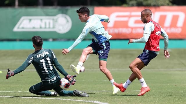 Treino Palmeiras