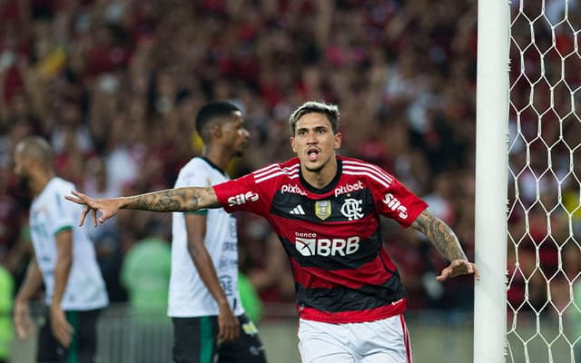 Flamengo x Maringa