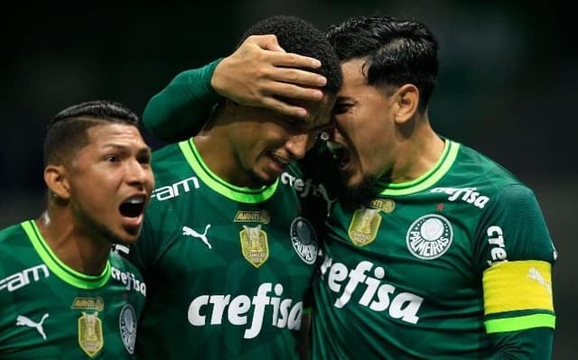 Palmeiras1029017357h-aspect-ratio-512-320