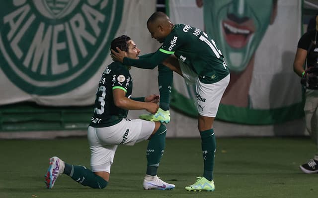 palmeiras-x-gremio4