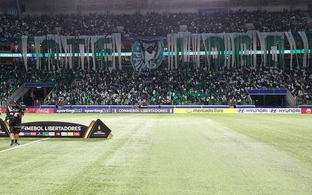 palmeiras-torcida-aspect-ratio-512-320