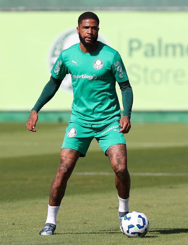 Micael, zagueiro do Palmeiras