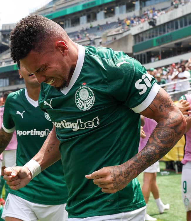 Paulinho comemora gol contra o Botafogo (Foto: Divulgação/ Palmeiras/ X)