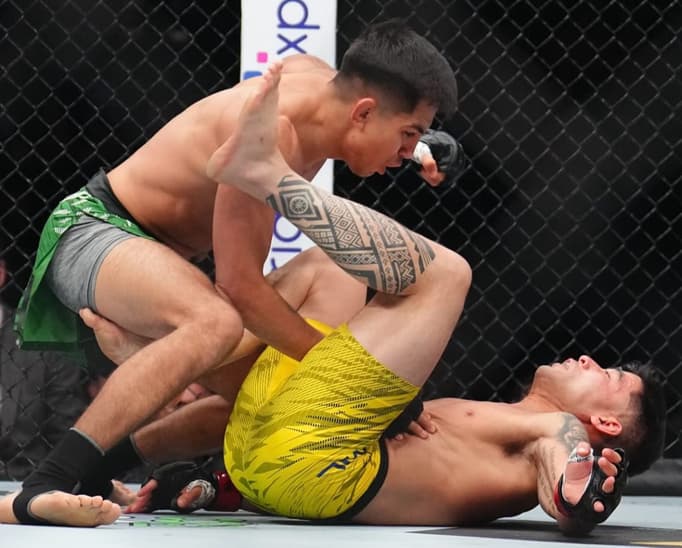 ufc-317-jose-delgado