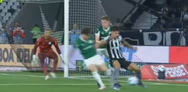 Botafogo e Palmeiras se enfrentaram no Brasileirão (Foto: Reprodução)