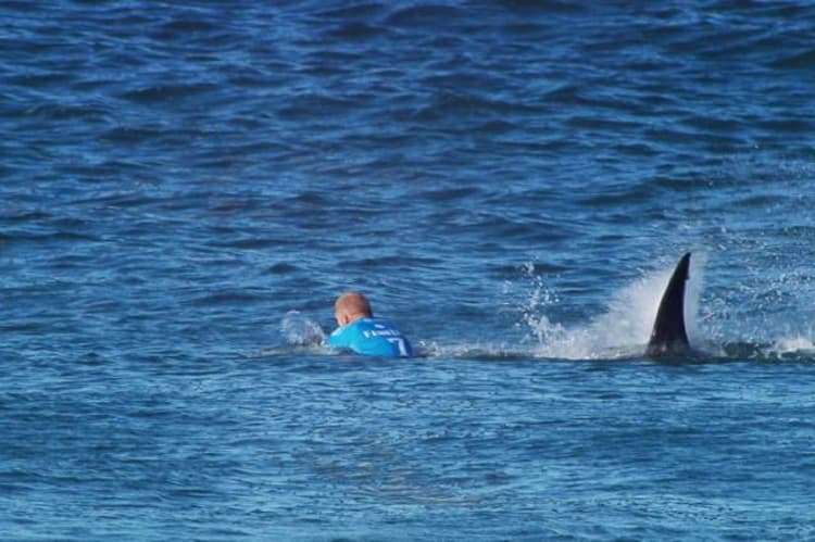 Na etapa da África do Sul, Fanning foi atacado por tubarão e saiu sem ferimentos (Foto: Divulgação)