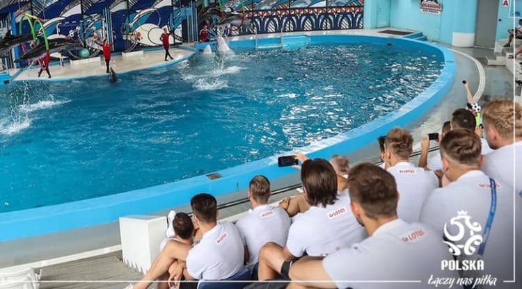 Seleção polonesa ganha o dia de folga e visita aquário de golfinhos