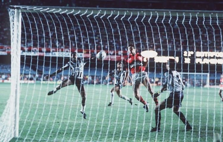 Botafogo 1989 - Mauricio
