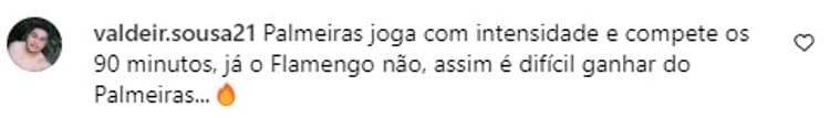 Palmeiras-3