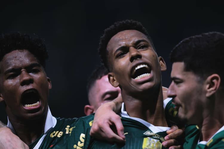 COPA DO BRASIL 2024, Palmeiras x Botafogo-SP Estêvão Rômulo e Endrick